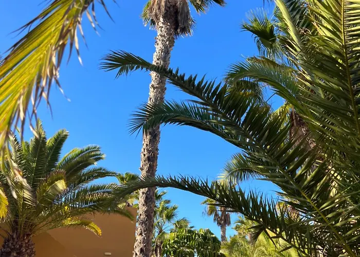 Casa De Leon Appartement